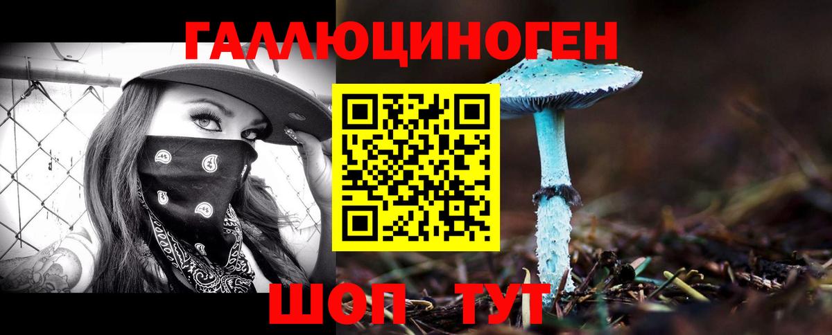Псилоцибиновые грибы Psilocybe Алейск